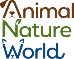 Animal Nature World