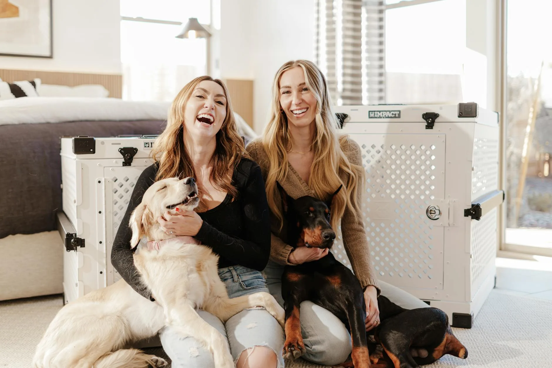 Dog Crates That Fit Real Homes