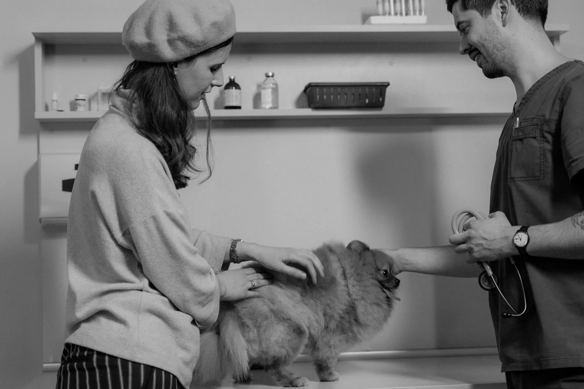 Pet First Aid Basics Every Owner Should Know