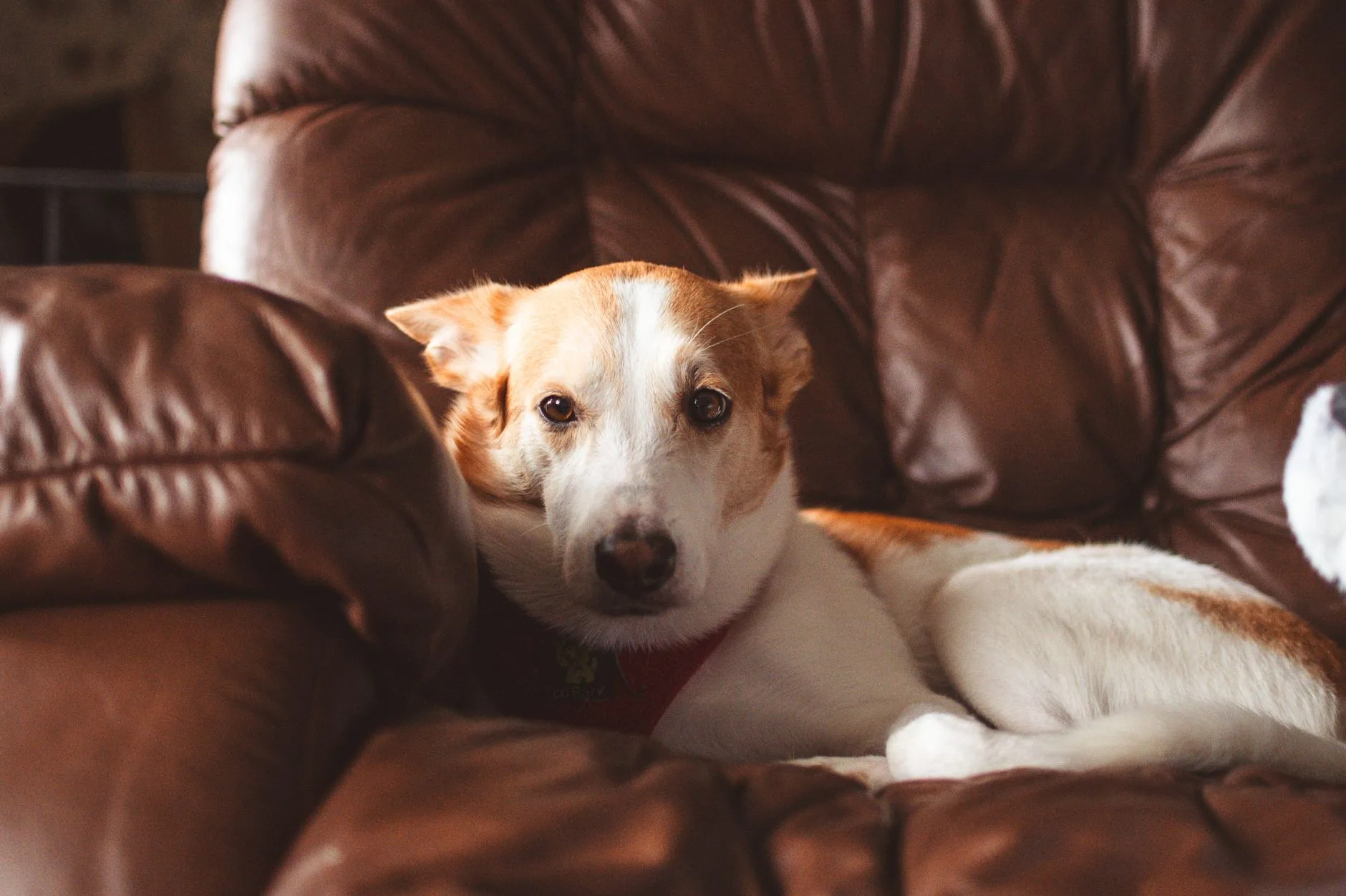 The Slow Agreement of Sharing the Couch