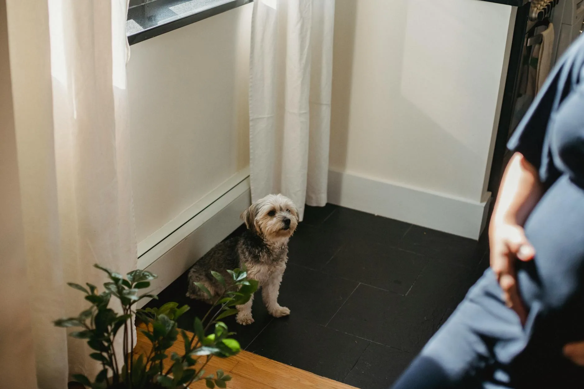 The Morning Treat and What Routine Gives Us Both