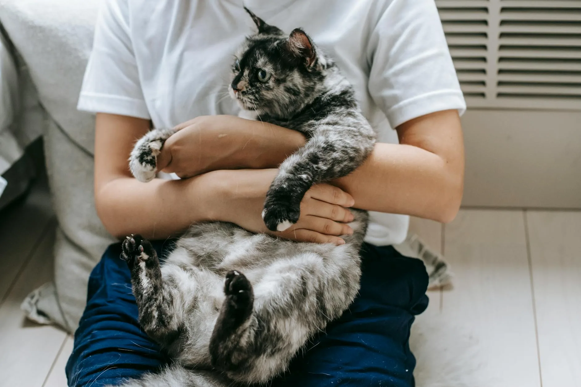 When a Cat Chooses You for No Reason You Can Name