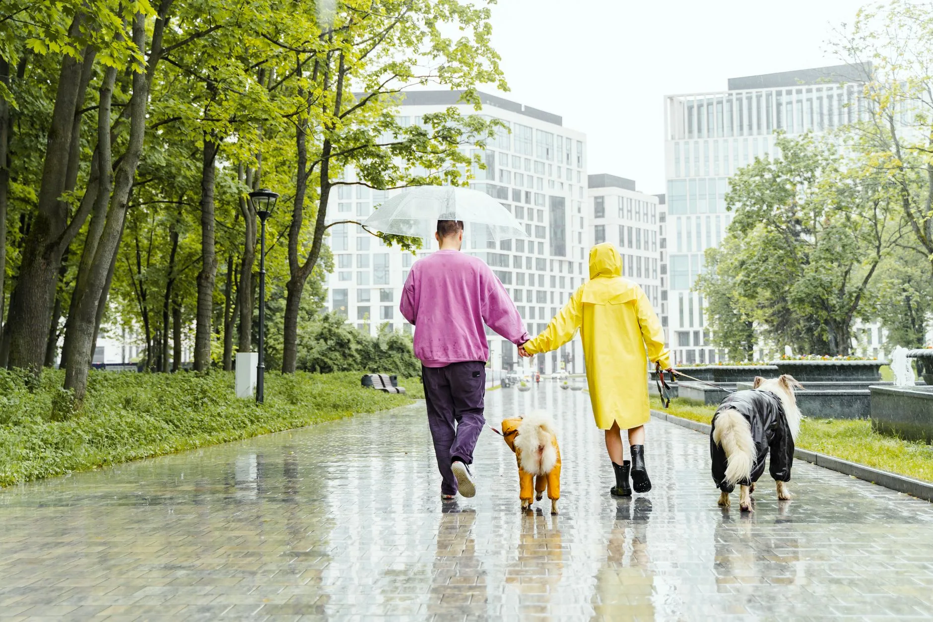 The Small Daily Commitment of Walking a Dog in the Rain